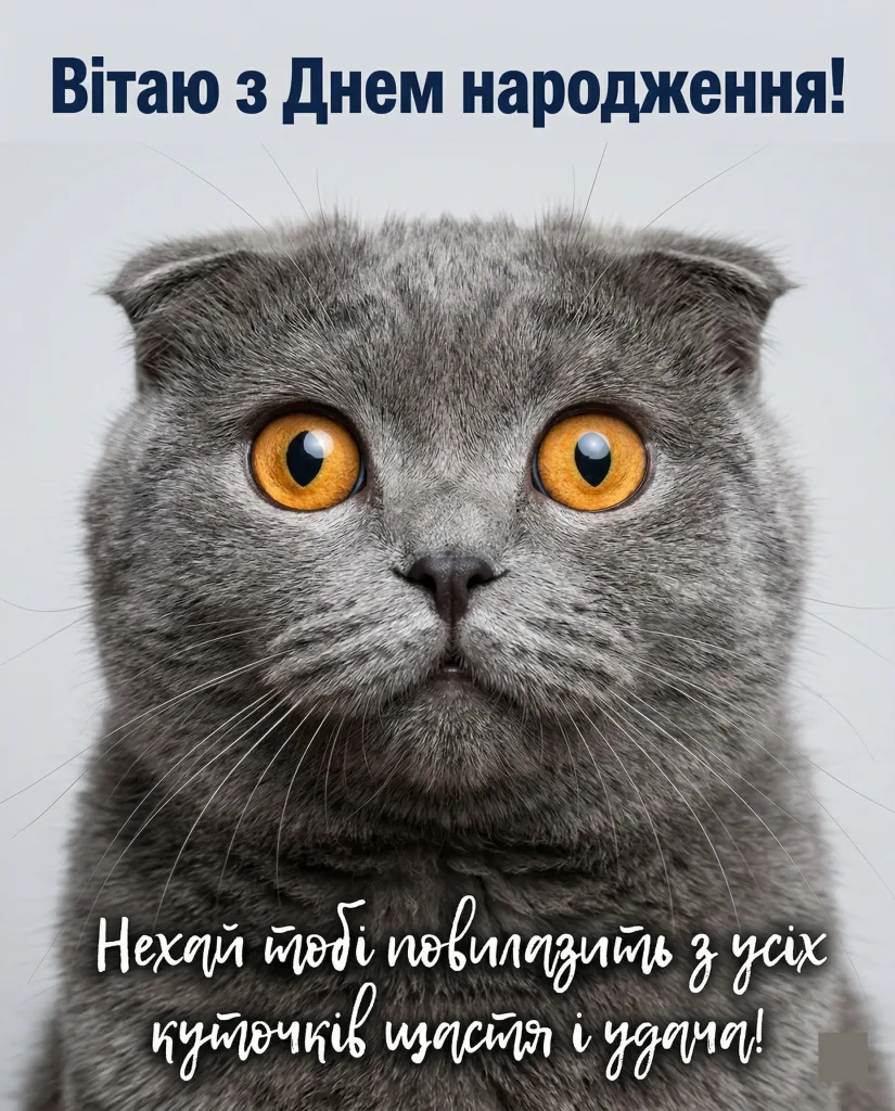 короткі смішні привітання з днем народження - Листівка 2