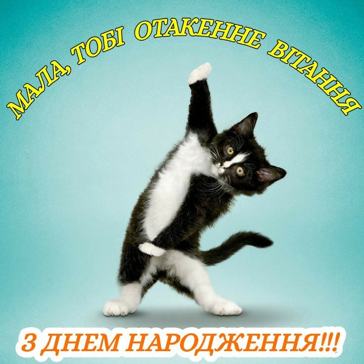 короткі смішні привітання з днем народження - Листівка 5