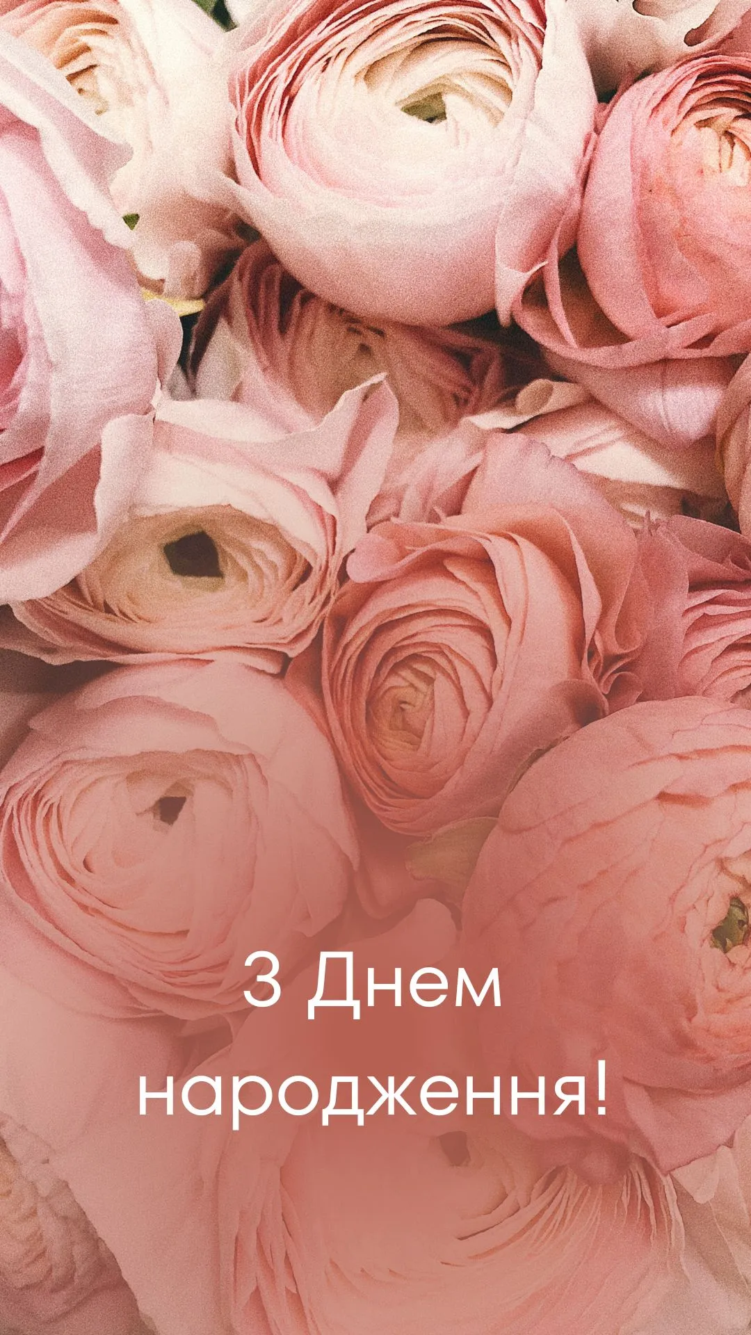 Найкращі квіти з днем народження жінці: картинки та листівки