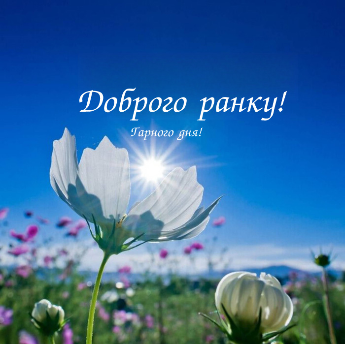Листівка доброго ранку: як подарувати гарний настрій близьким