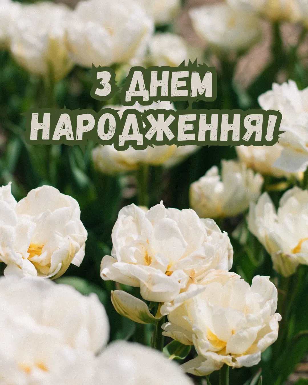 привітання з днем народження своїми словами - Листівка 3