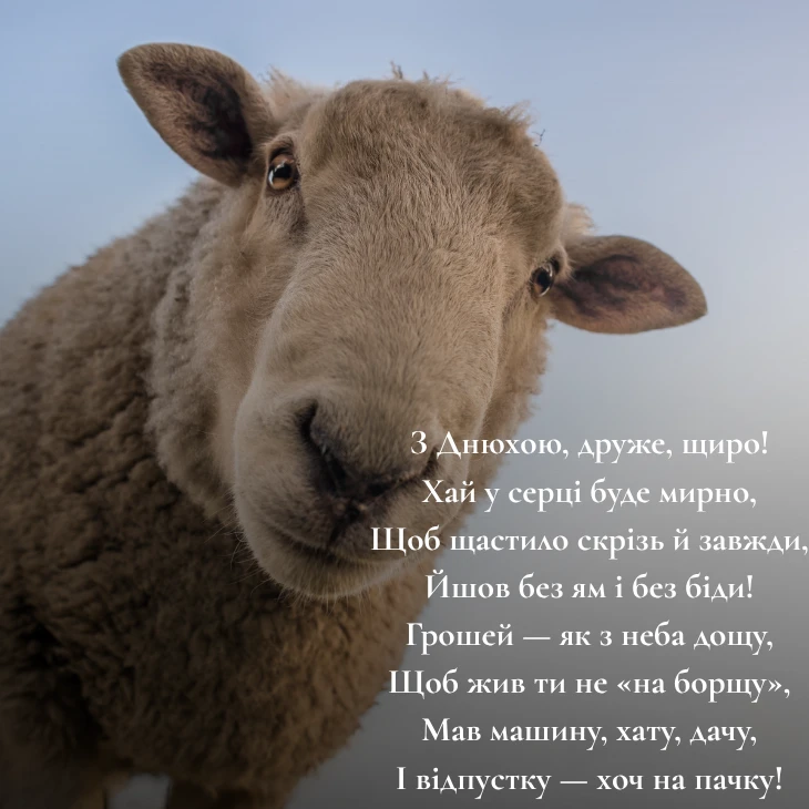 З днем народження другу: картинки для щирого привітання
