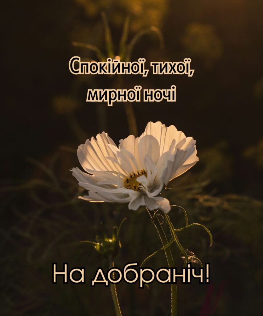 оригінальні побажання доброї ночі - Листівка 3