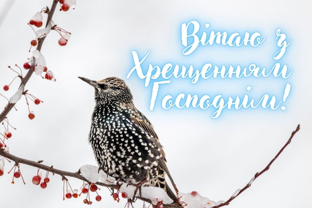 водохреща привітання - Листівка 2